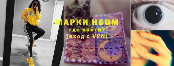 индика Абаза