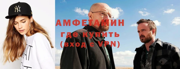 индика Абаза