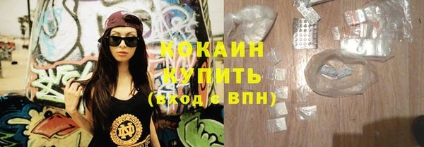индика Абаза