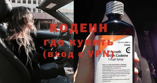индика Абаза