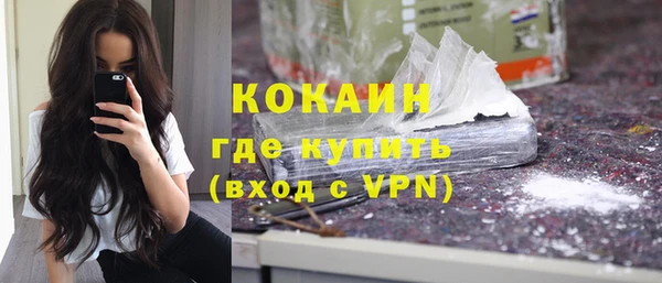 индика Абаза